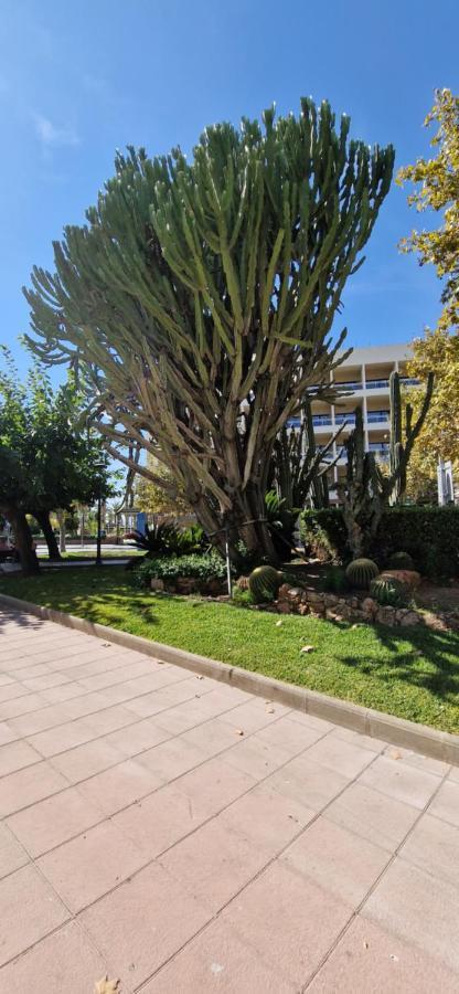 Apartamento Dorada Mar Salou
