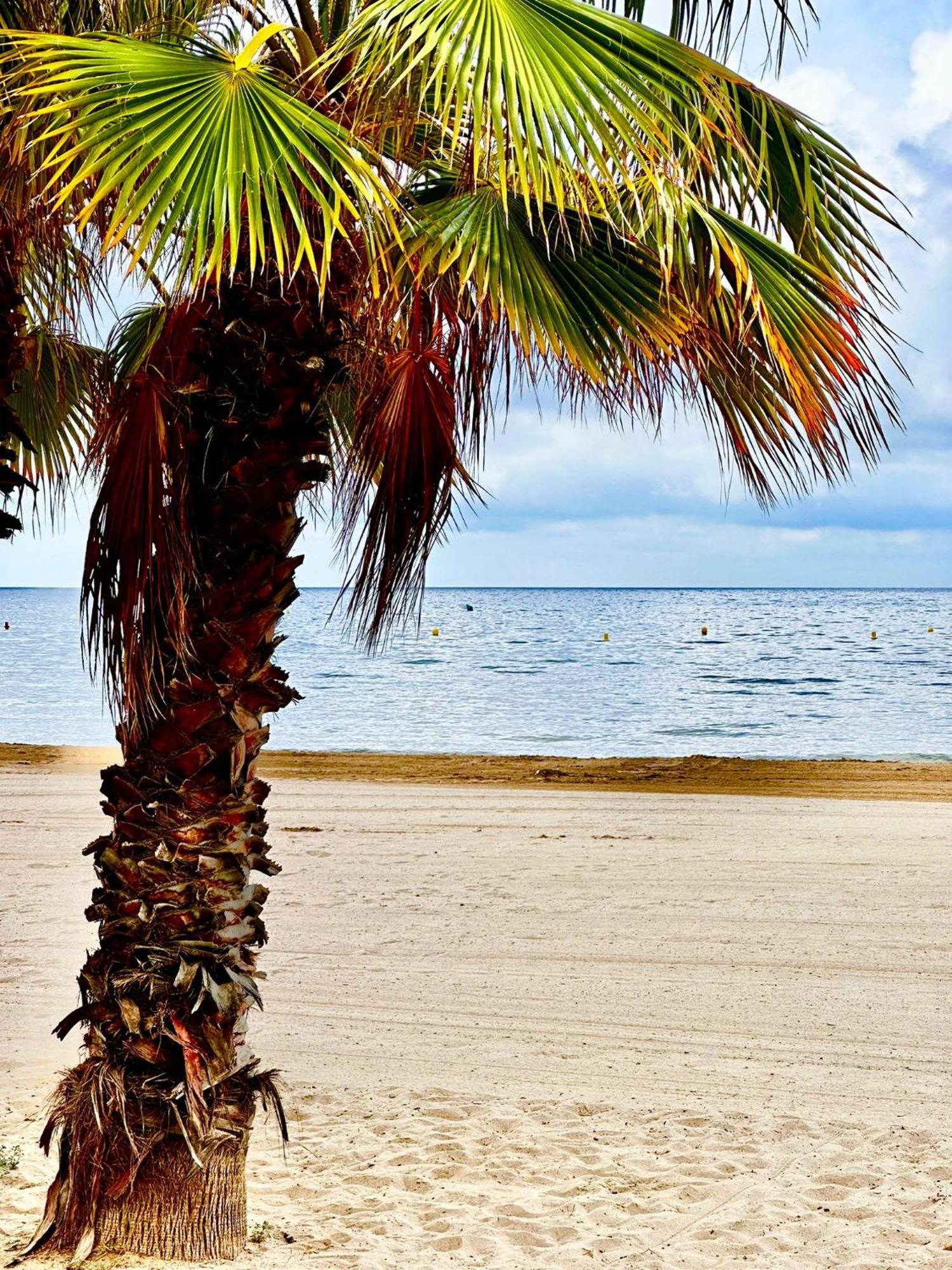 Appartement Apartbeach Jazmin Muy Lumunoso Climatizado Y Junto Playa Principal *
