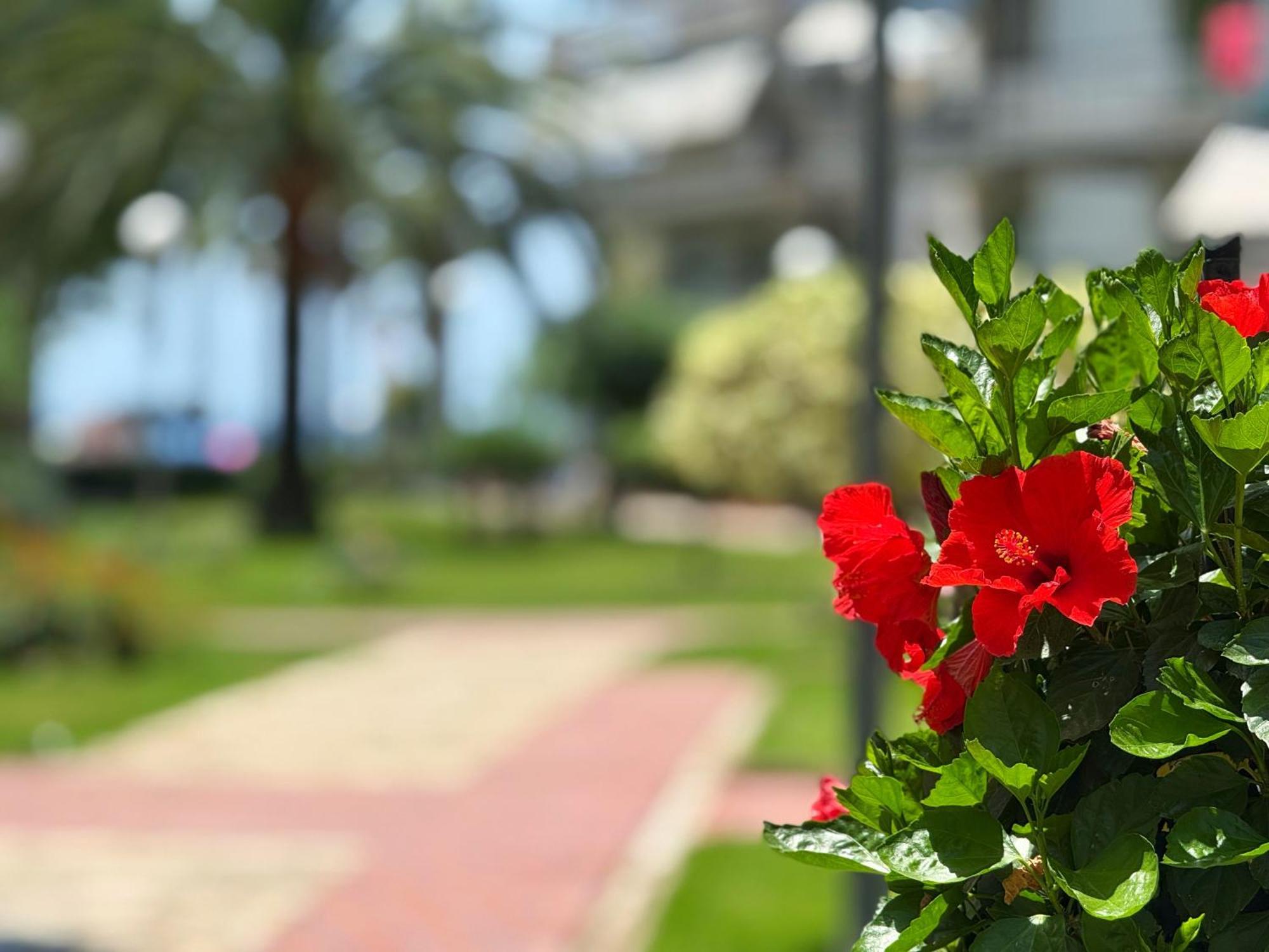 Domuum Holidays - Delfos Appartement Salou