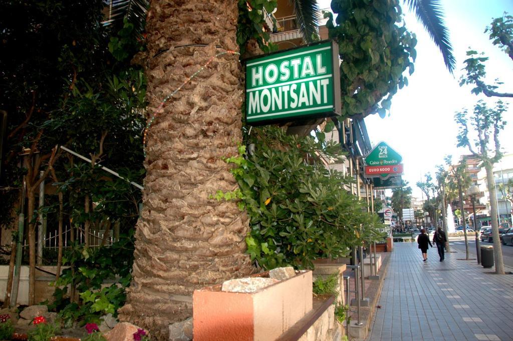 Montsant Pensión