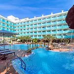 H10 Delfín - Adults Only