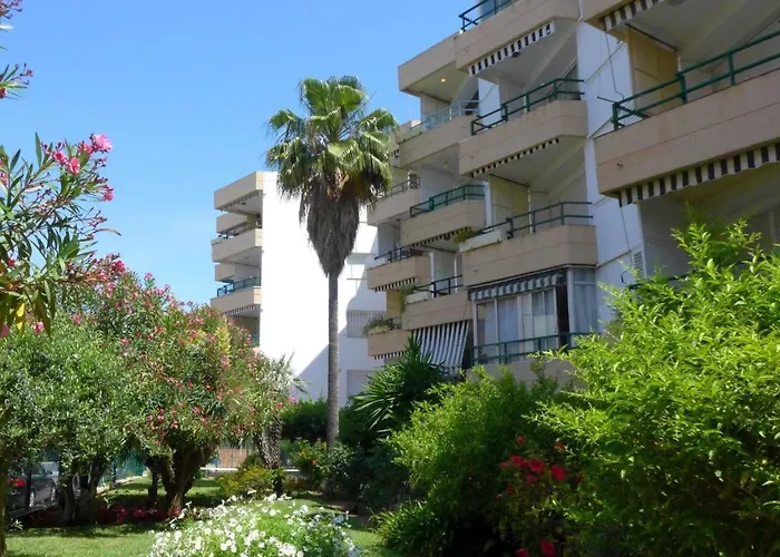 Apartamentos Colon