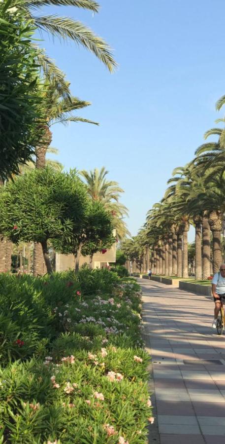 Lux Por Precio Economico. Salou