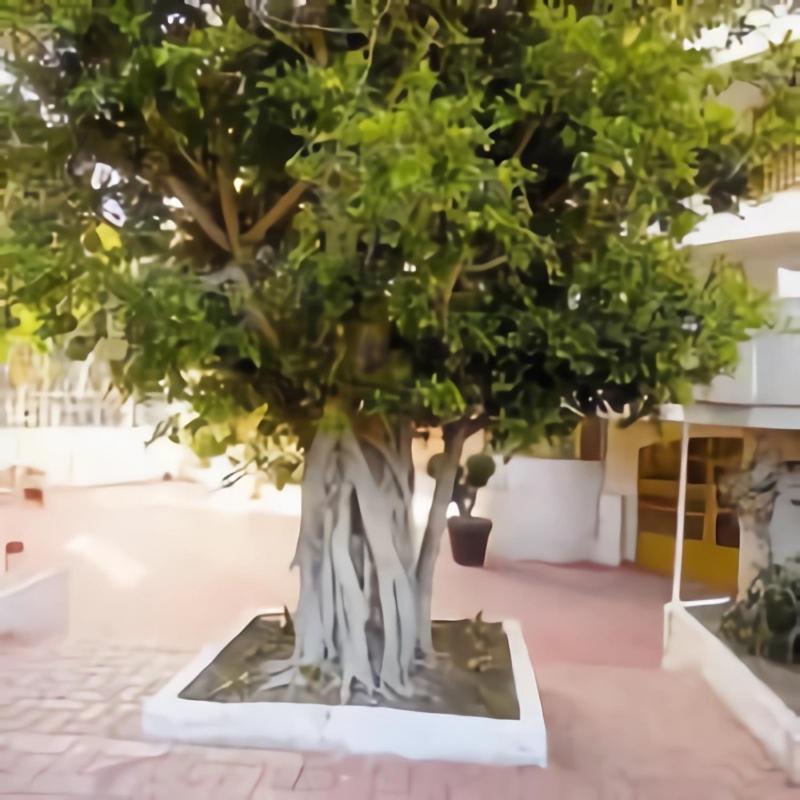 Luminoso En Con Terraza Y Parque Infantil Ideal Familias