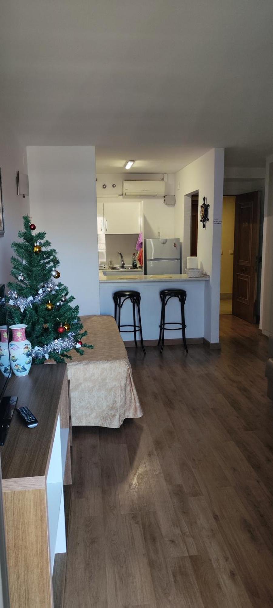 Apartamentossalou Michelangelo *