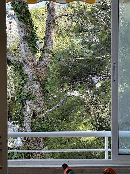 Premium Luxury Rits Apartamento