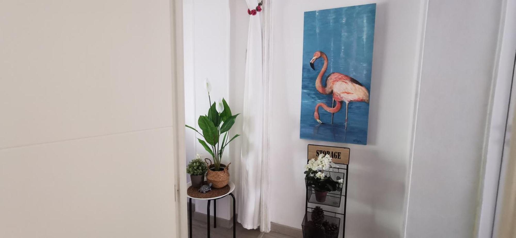 Luz Y Color Appartement