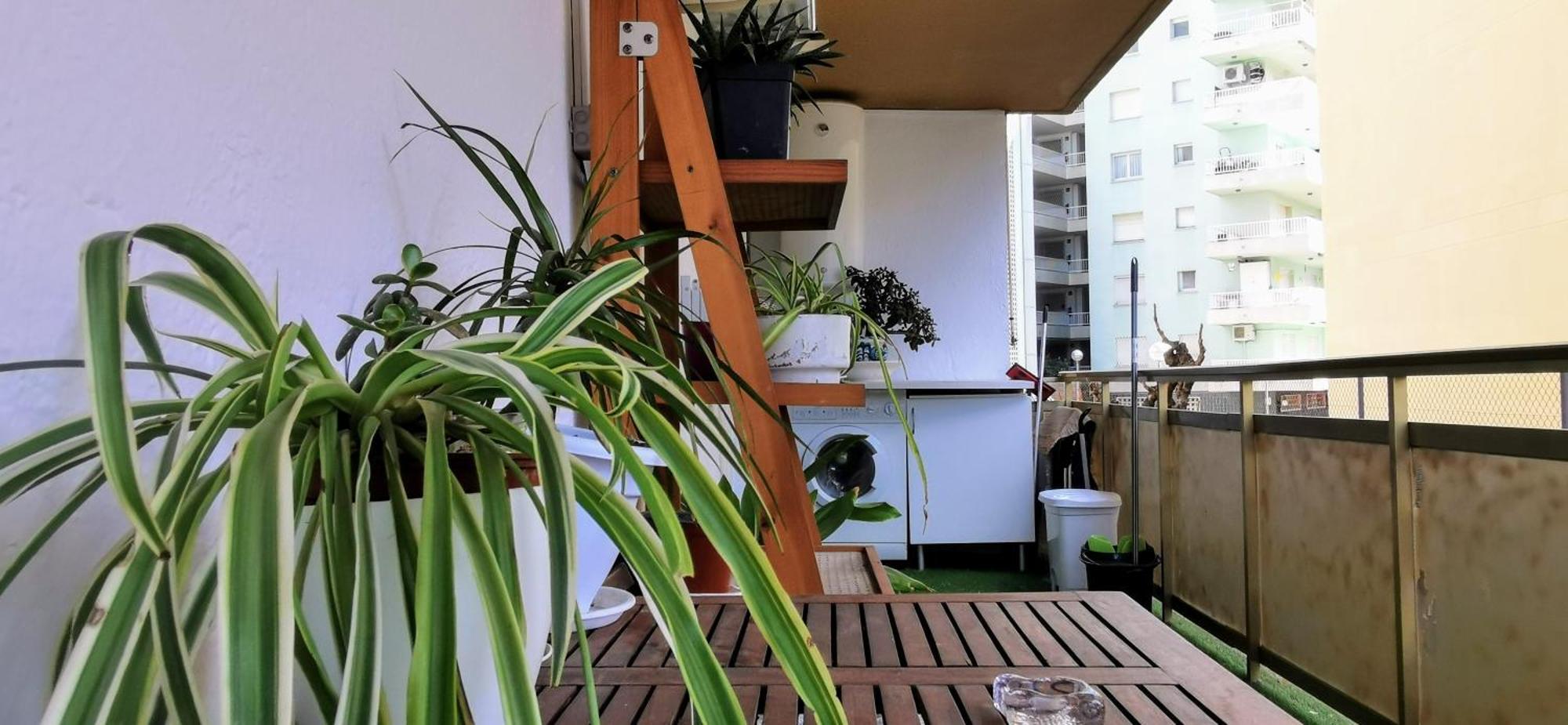 Luz Y Color Appartement