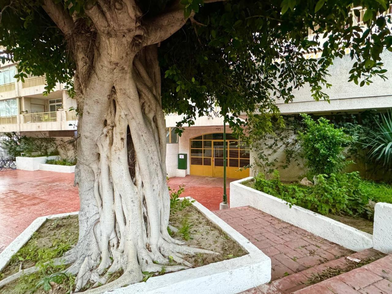 Apartsalou Lea Apartamento Salou