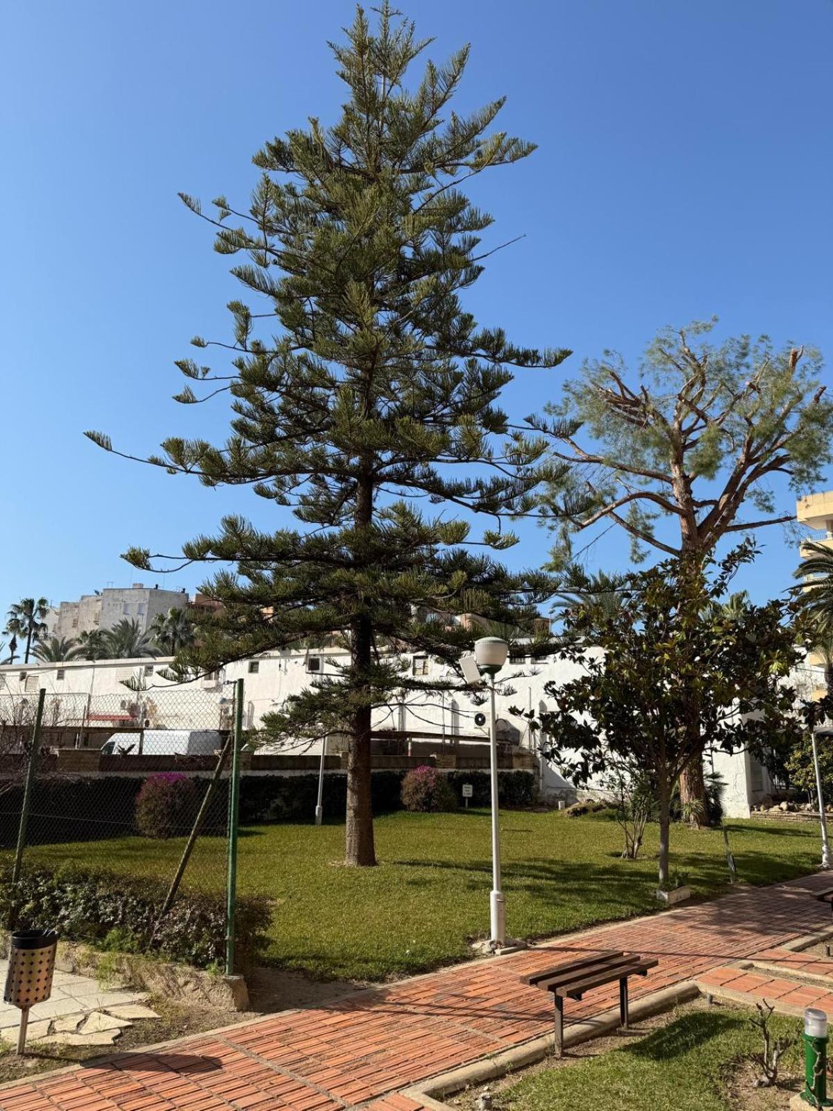 Hesperia Palmyra Apartamento Salou