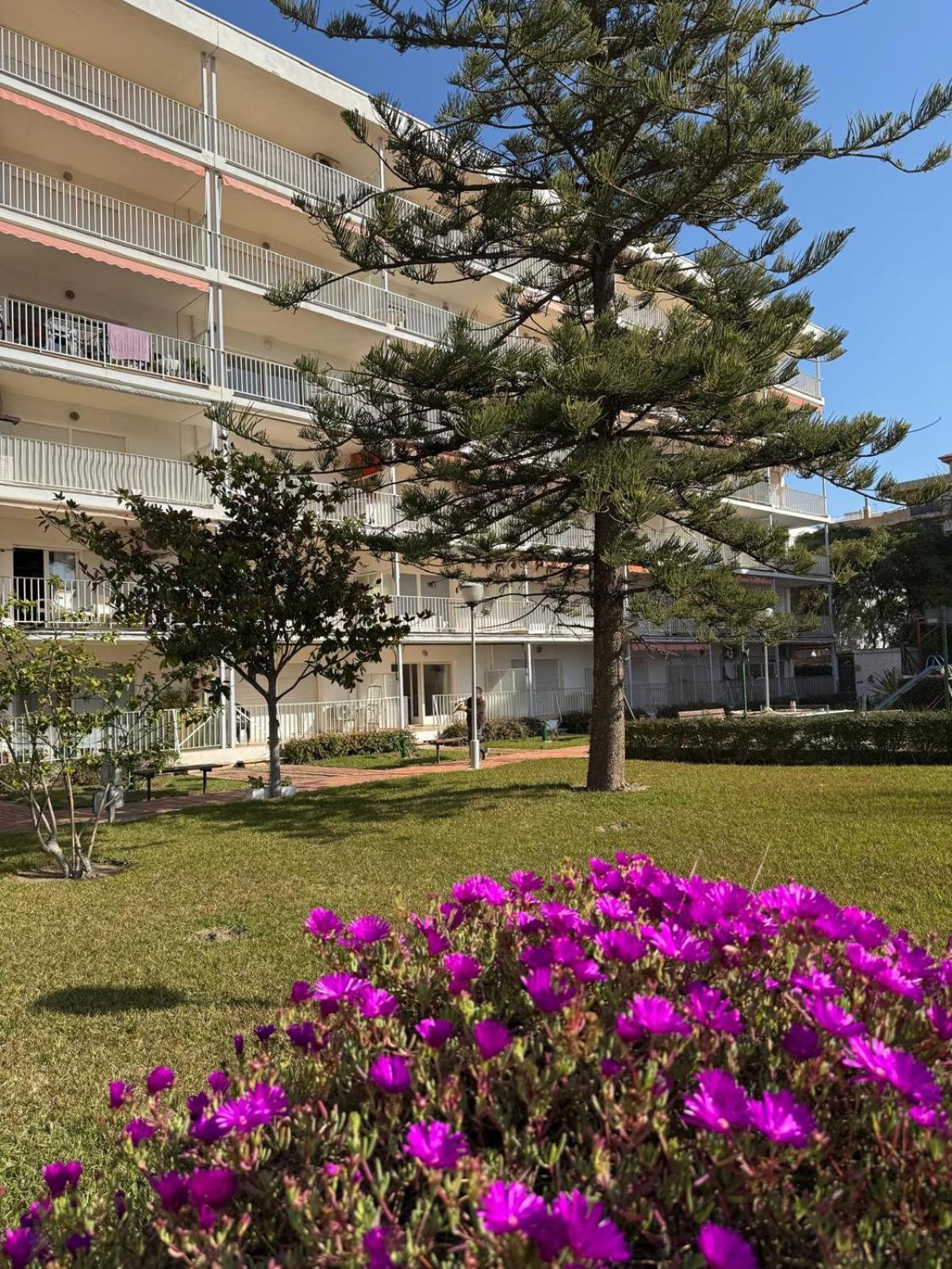 Apartamento Hesperia Palmyra