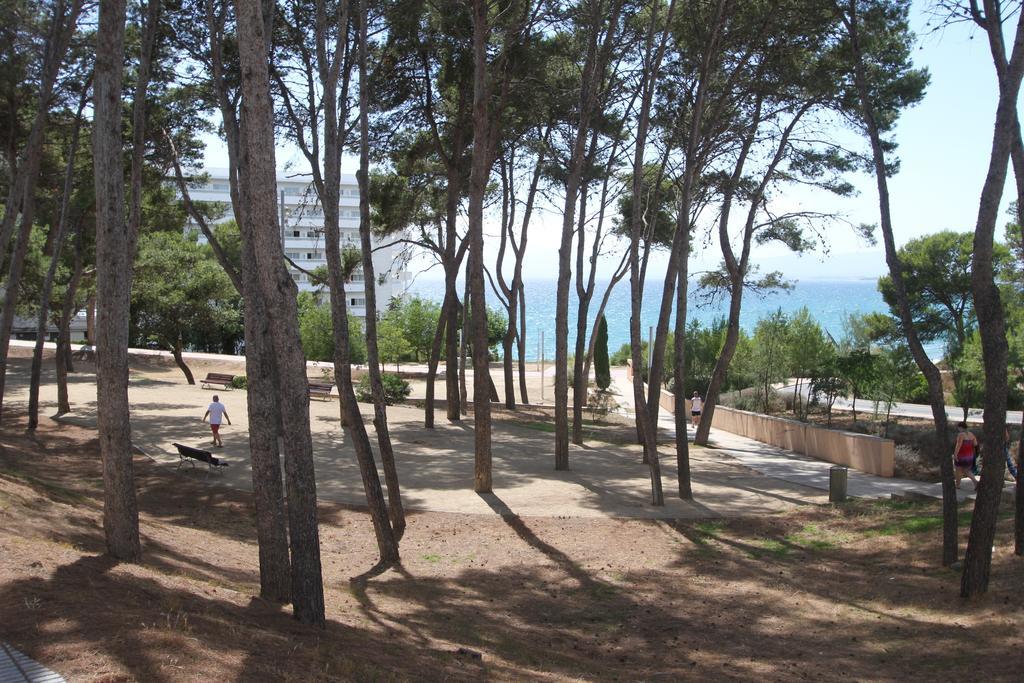 For A Cap D'or Appartement