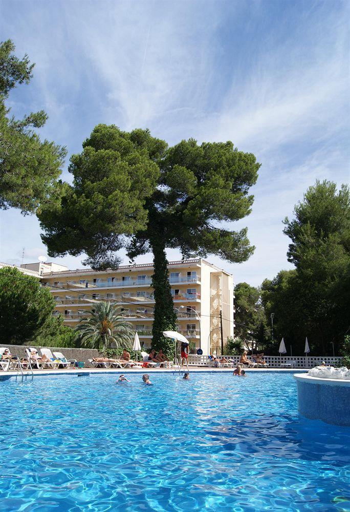 Hotel Mediterraneo 3*