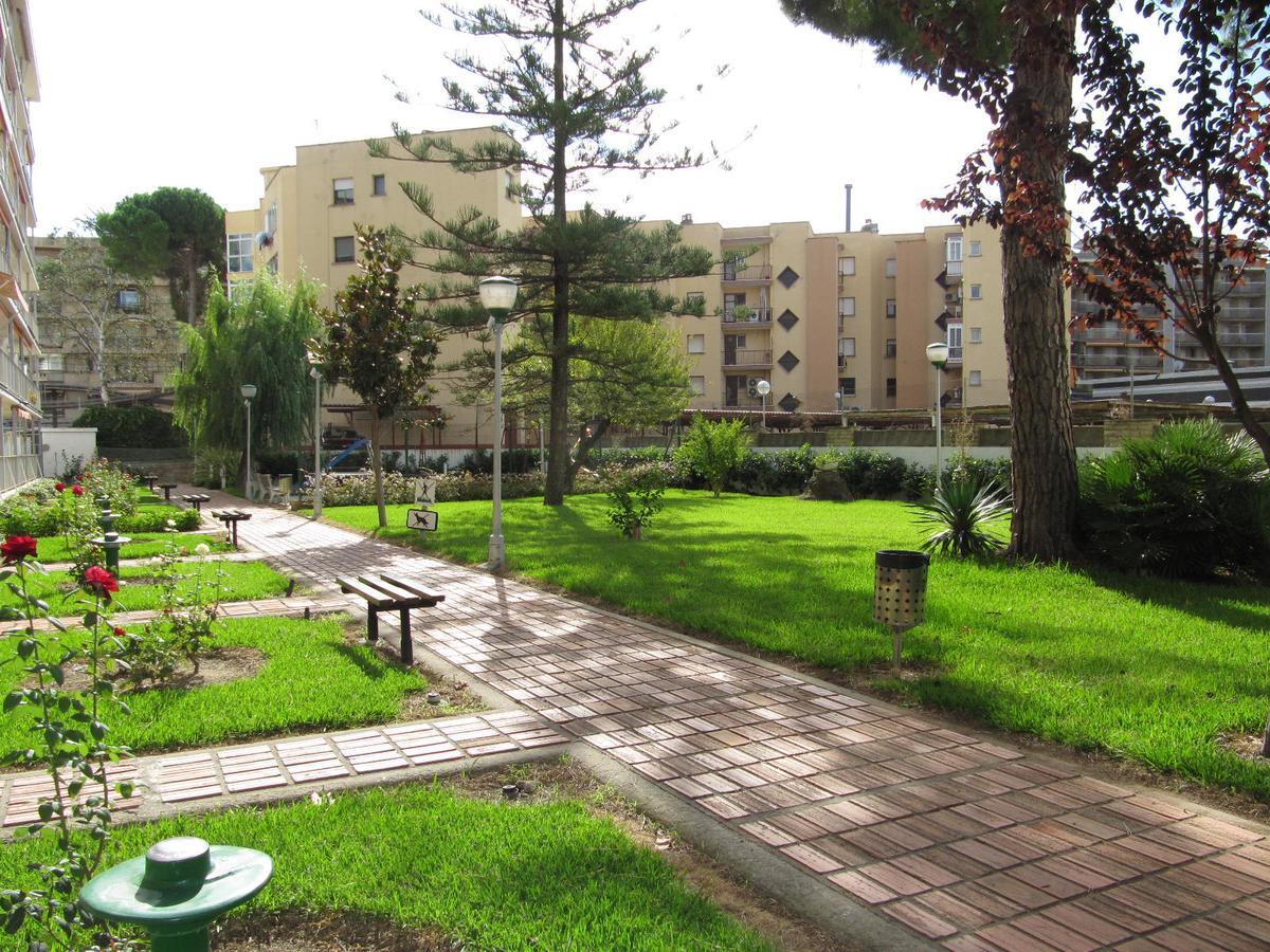 Hesperia Palmyra *