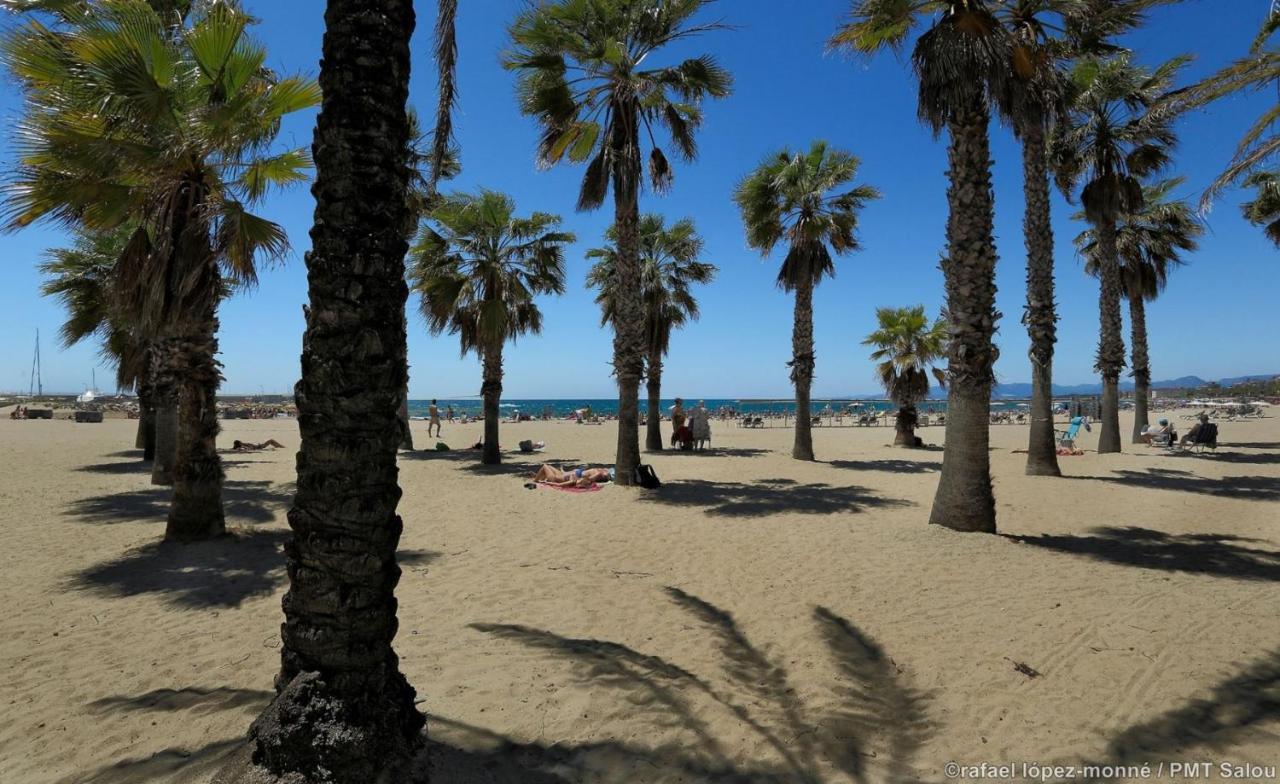 Zeus Alexis Ii * Salou
