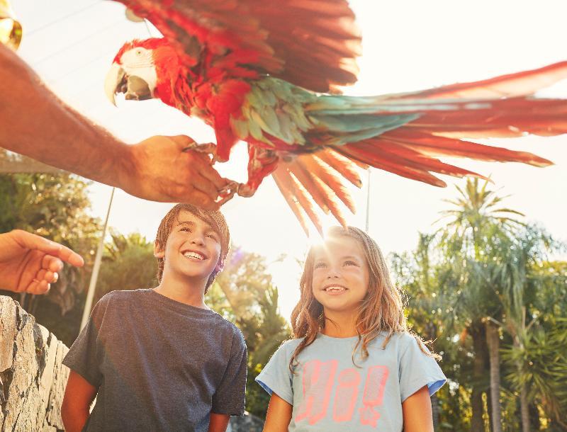Portaventura Colorado Creek - Includes Unlimited Access To Portaventura Park & 1 Access To Ferrari Land 4* Salou