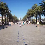 Stella Maris Iberplaya
