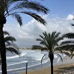 For A Stay Altair Mar
