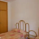 Apartamentos Zahara Palmyra