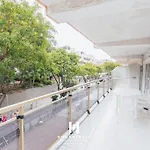 Gran Apartamento En Pleno Centro.