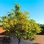 Adosado Con Jardin En Los Xalets De Salou