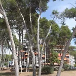 For A Stay Cap D\'Or
