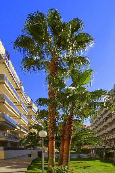 Ventura Park 4*
