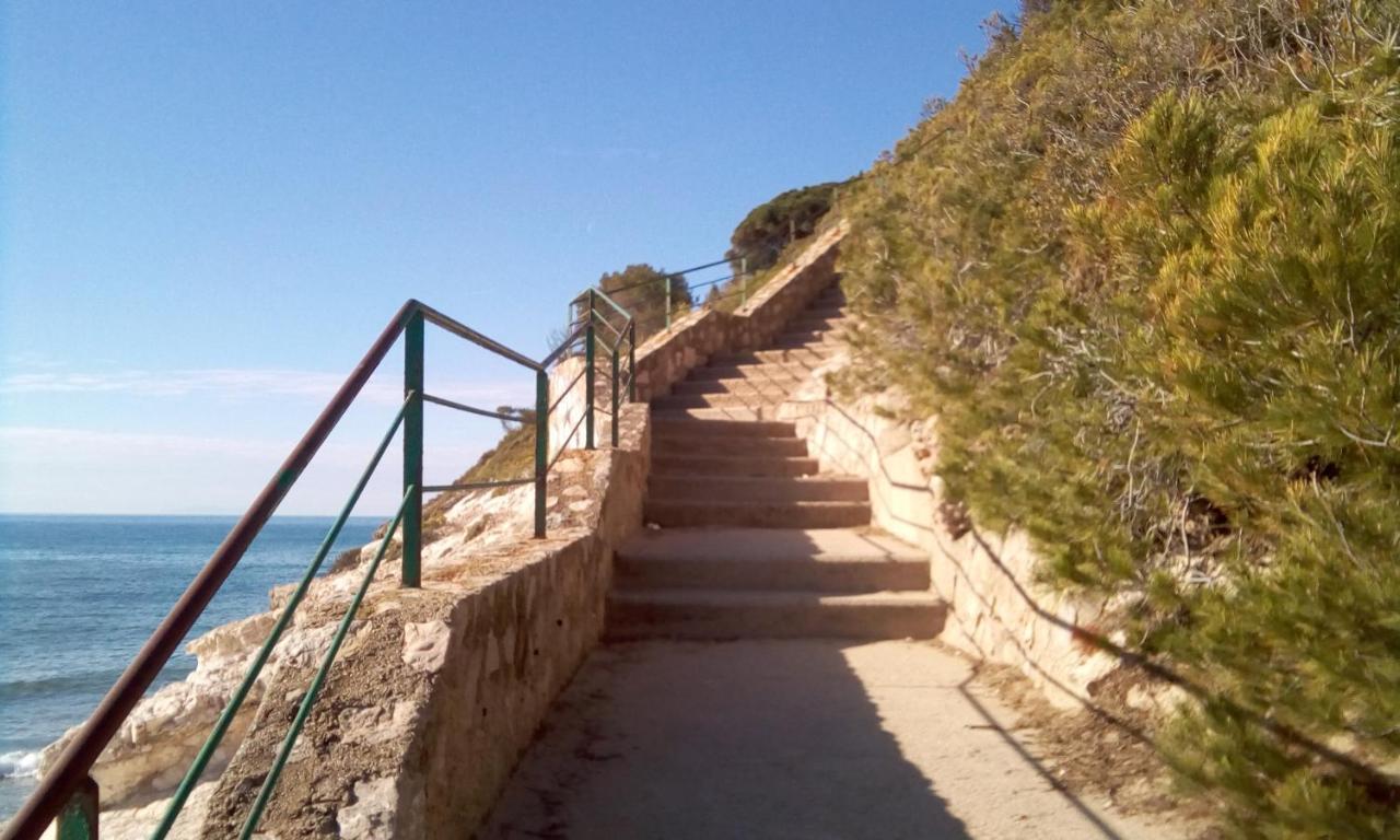 Escaliro Pins