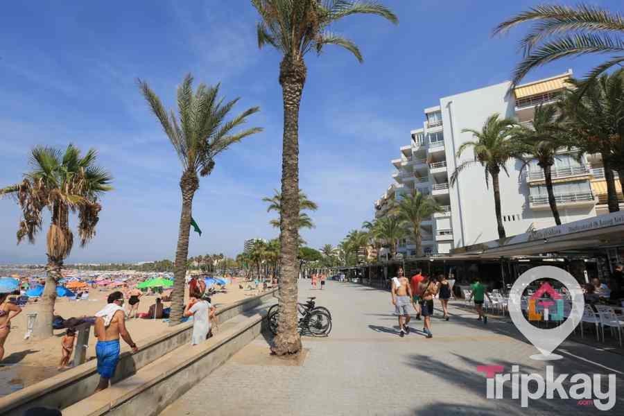 Alexandria *