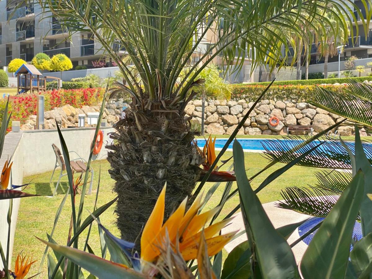 Paradise Aventura Apartment *