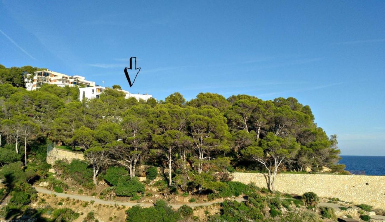 Olé Olé 11 Salou