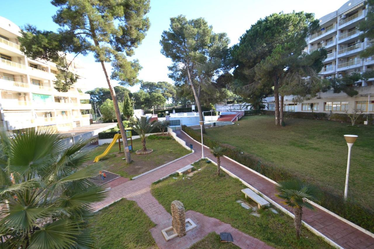 Wvp - Catalunya 6 *