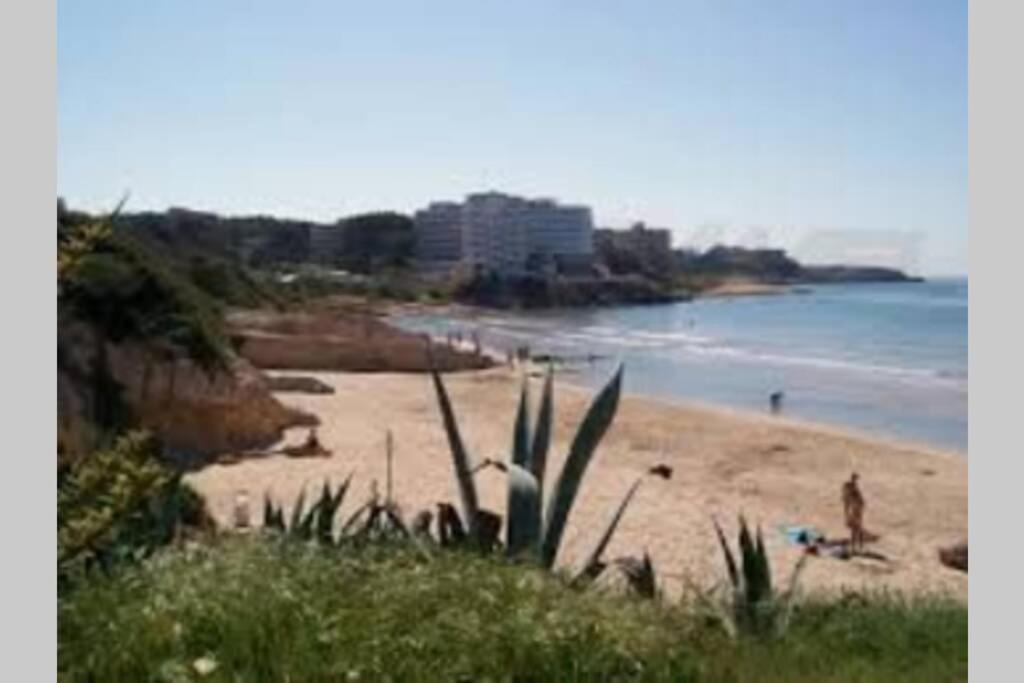 Cozy With Parking Salou