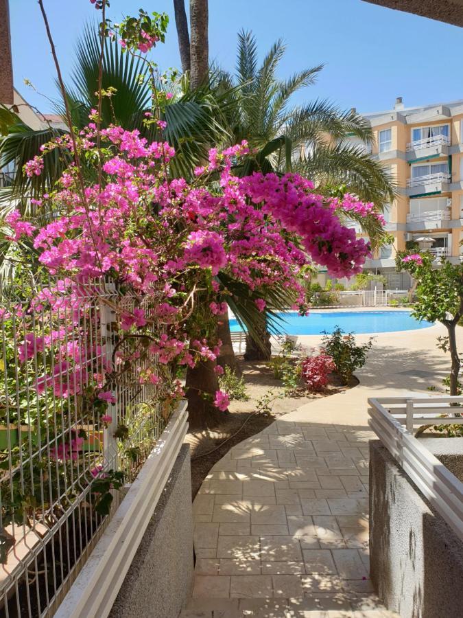 Estrella Apartment *