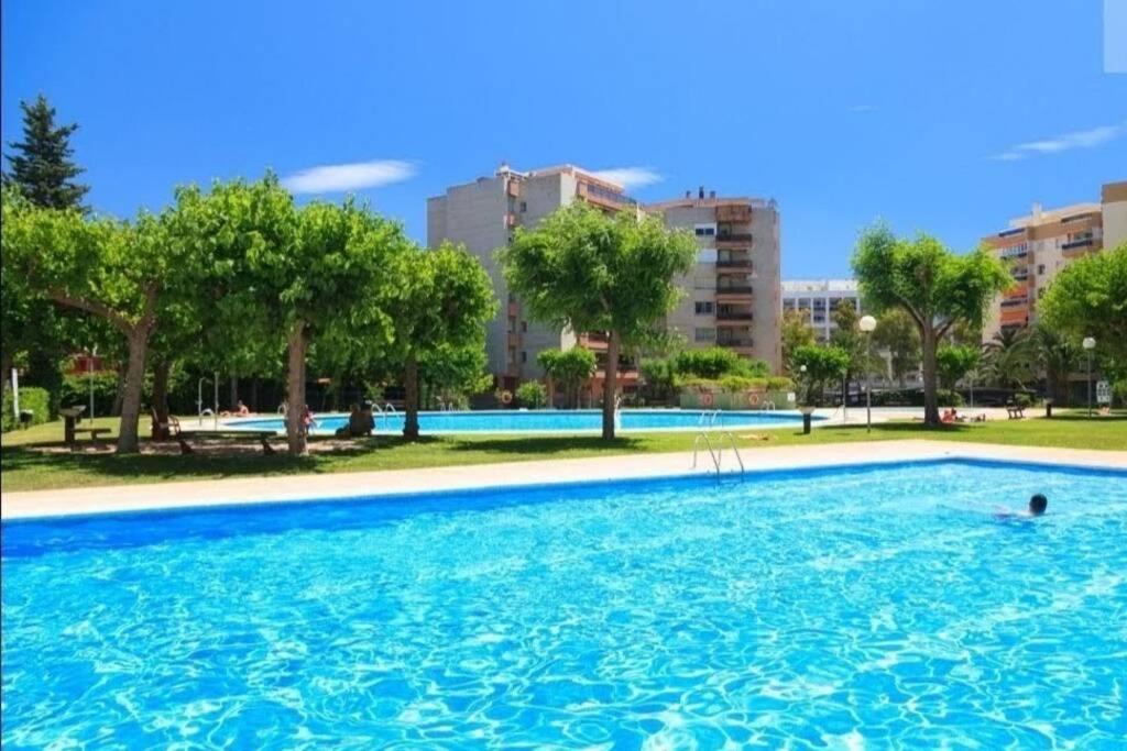 Appartement Palm Mediterrani