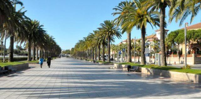 Apartment Playa Jaime I *