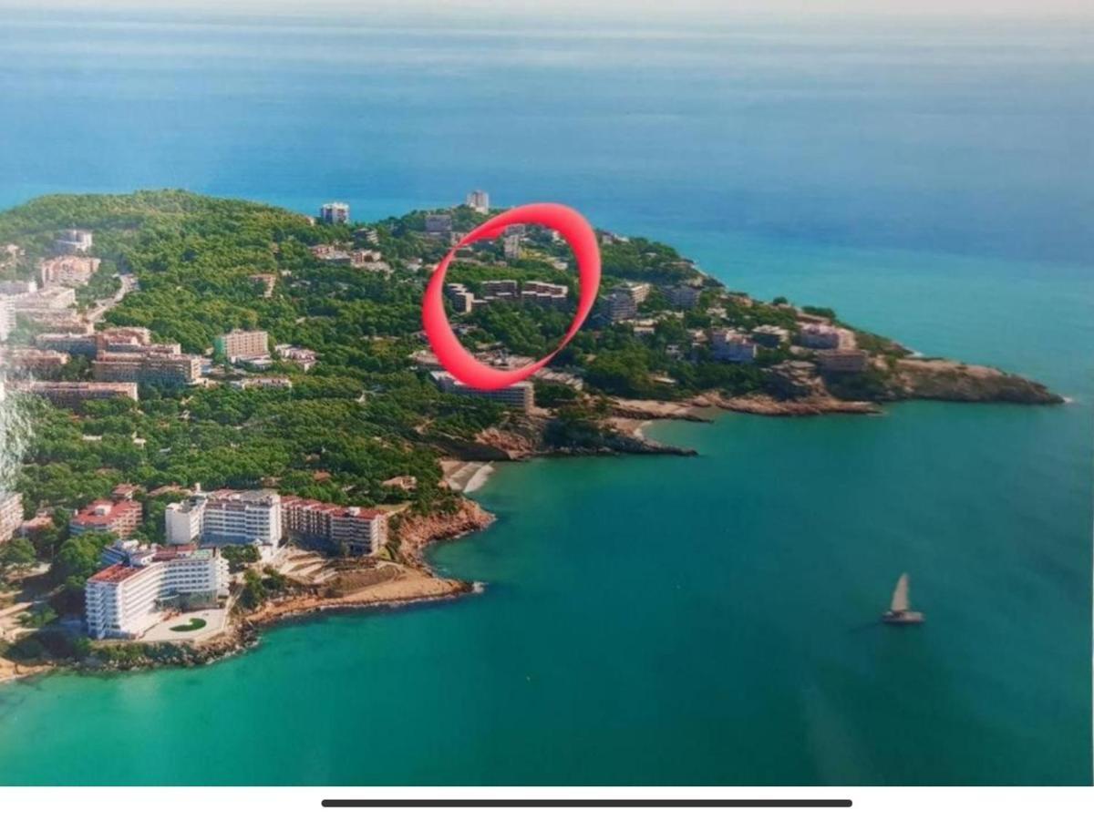 Apartamento En Cap Apartamento