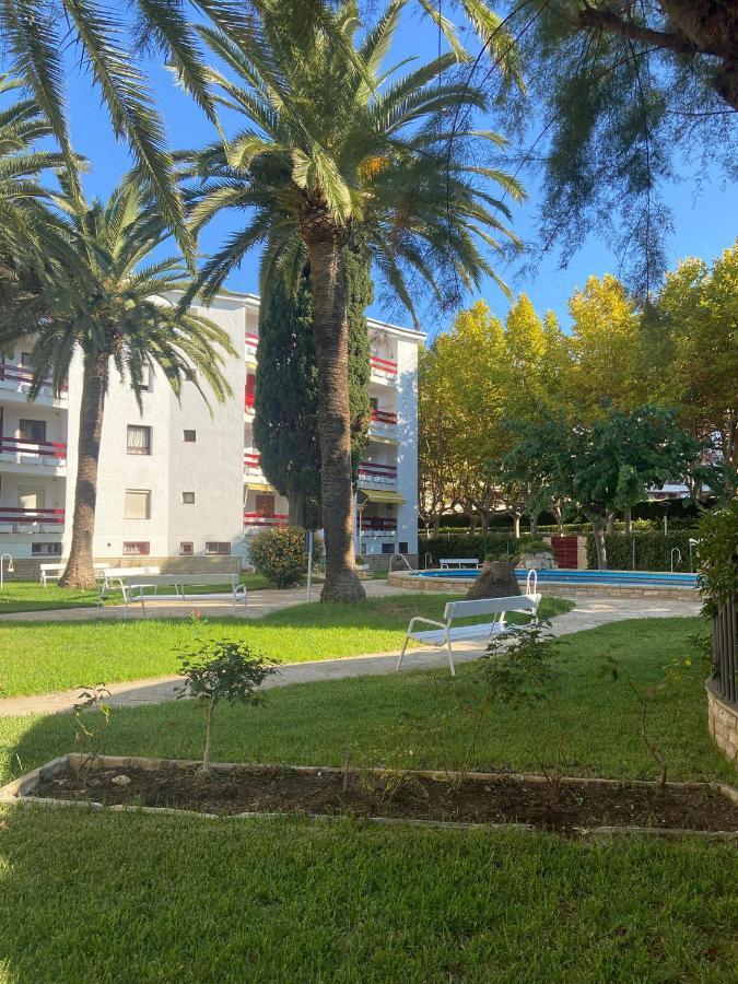 Córcega Palm Beach - Piscina Y Jardín