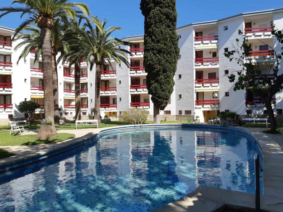 Córcega Palm Beach - Piscina Y Jardín