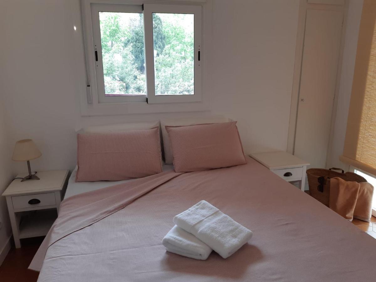 Apartamento Córcega Palm Beach - Piscina Y Jardín