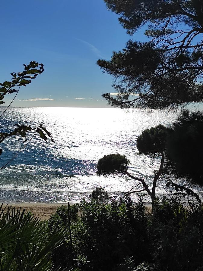 Paradise Village Port Aventura Appartement Salou