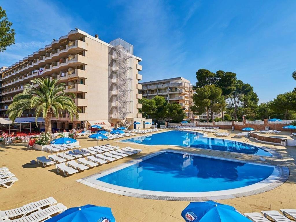 Apartamento Estudio Atico Con Piscina 