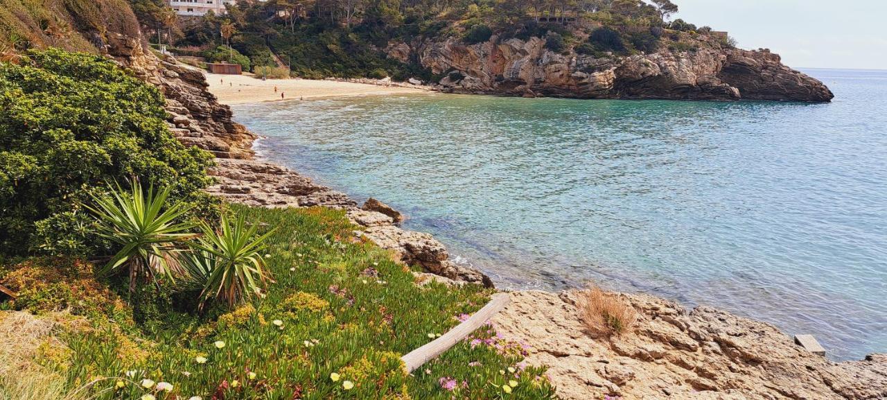 Colibri Salou