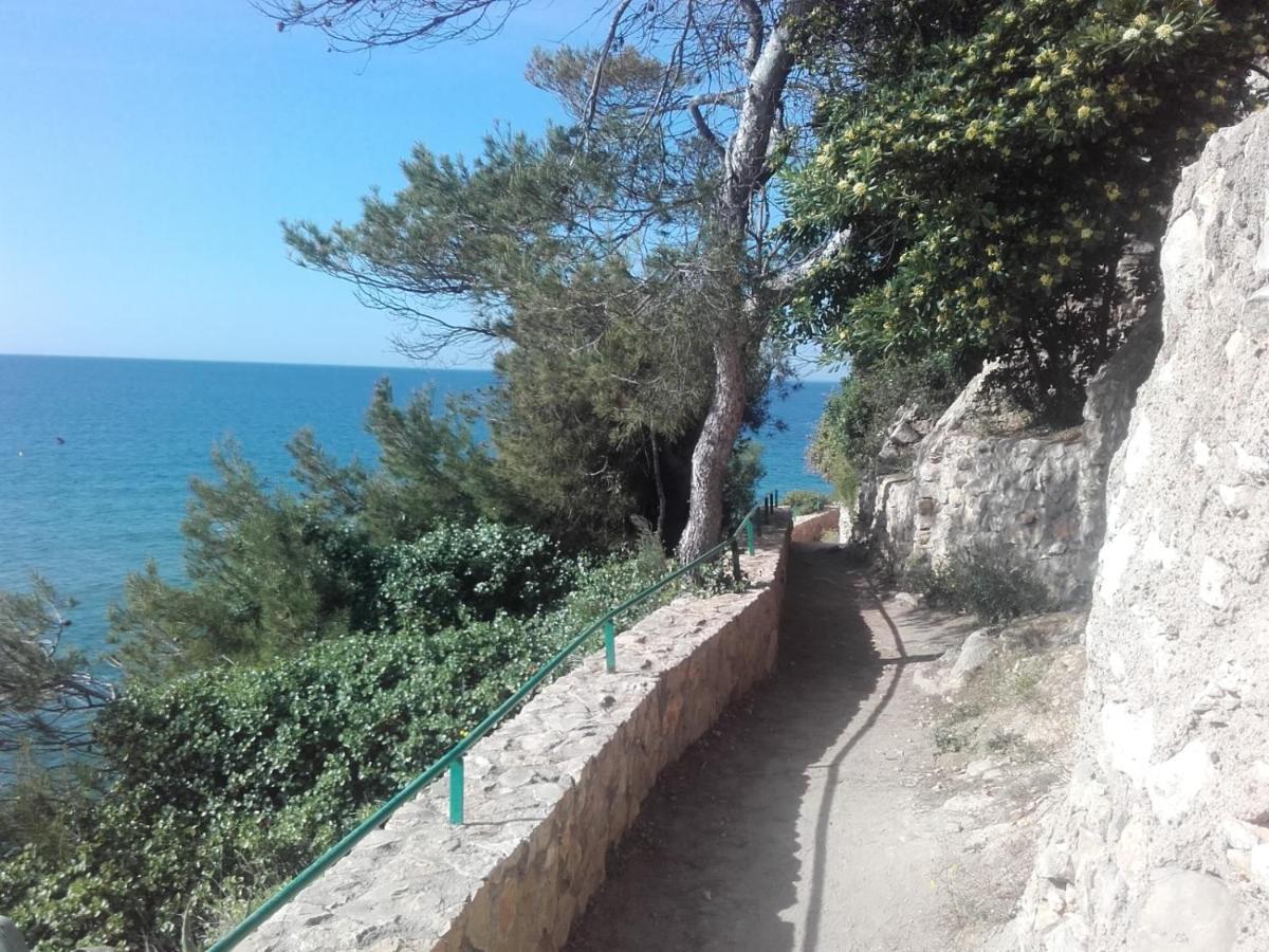Amb Jardi Privat I Piscina