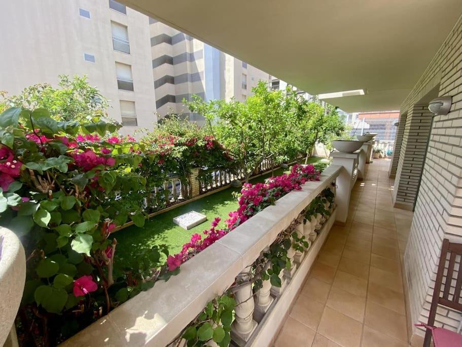 Apartamento For A Balears *