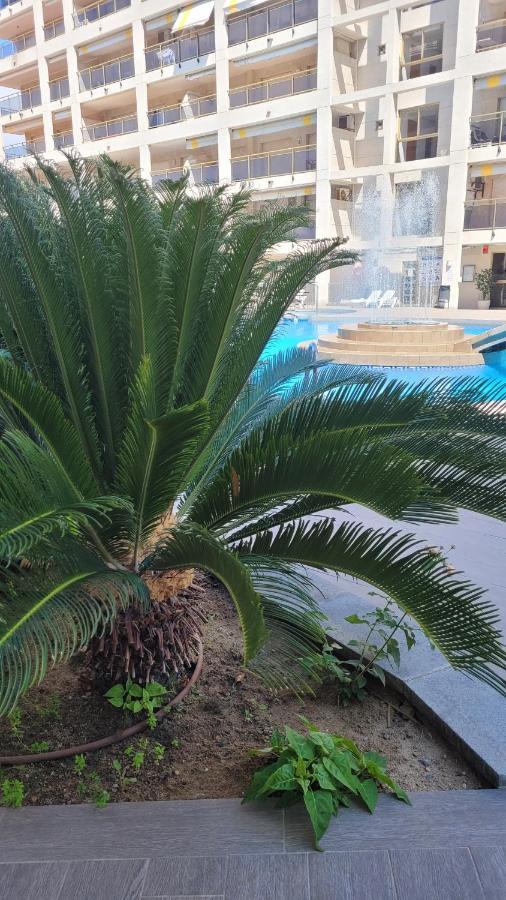 Platan Apartment *