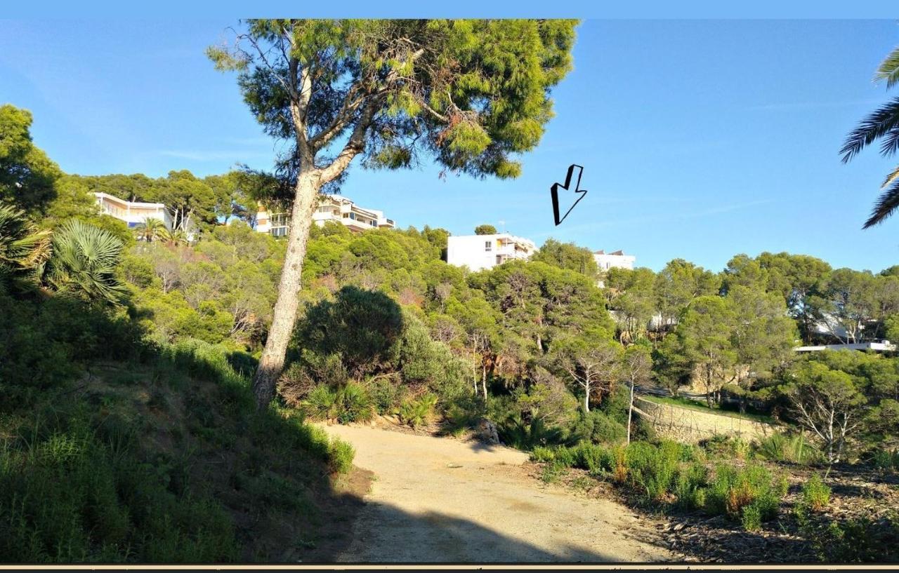 Aguila Dorada Appartement Salou