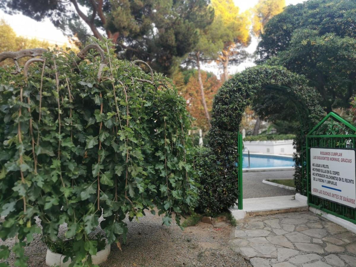 Apartamento Centrico En *