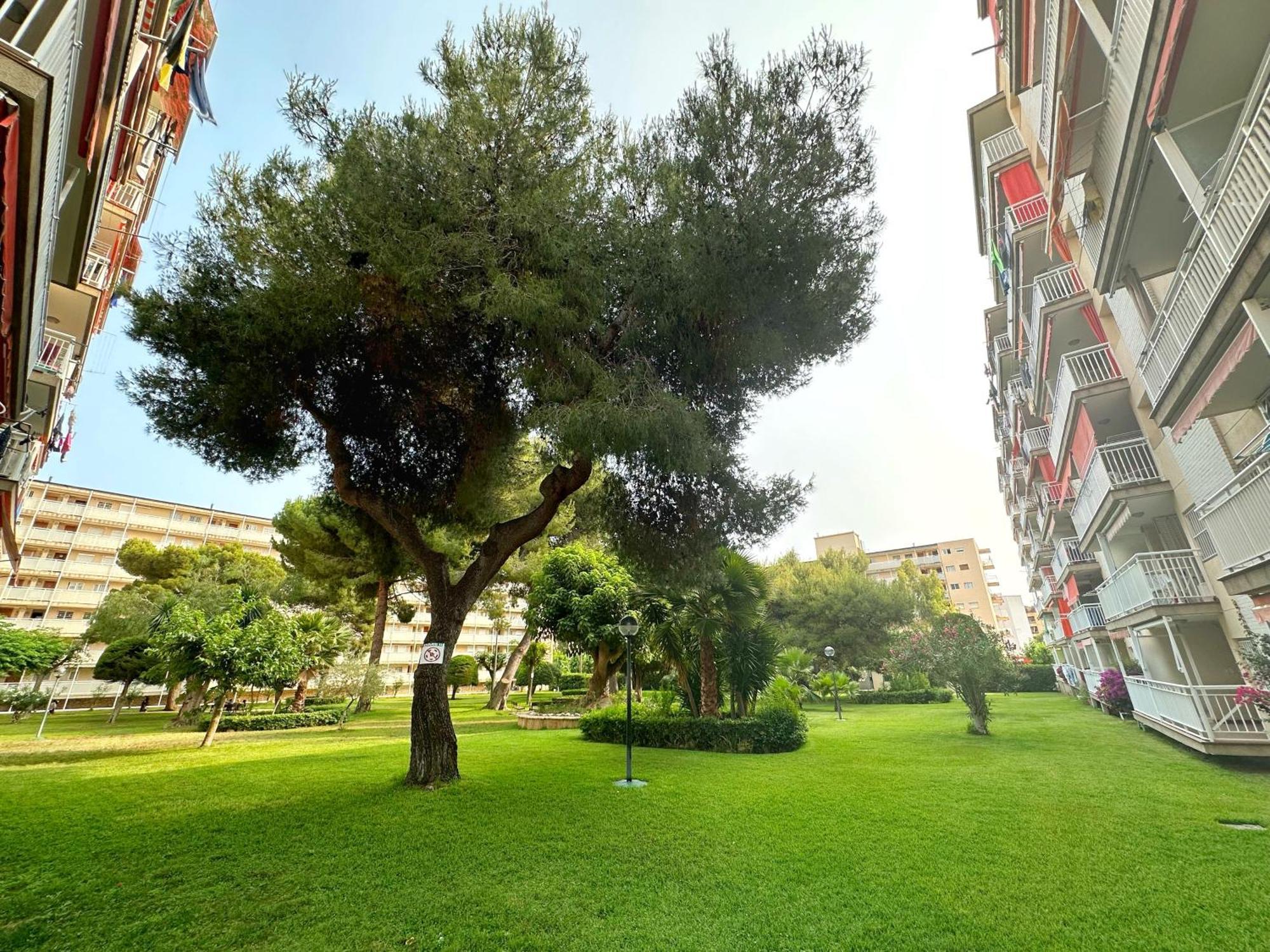 Apartamento Domuum Holidays *