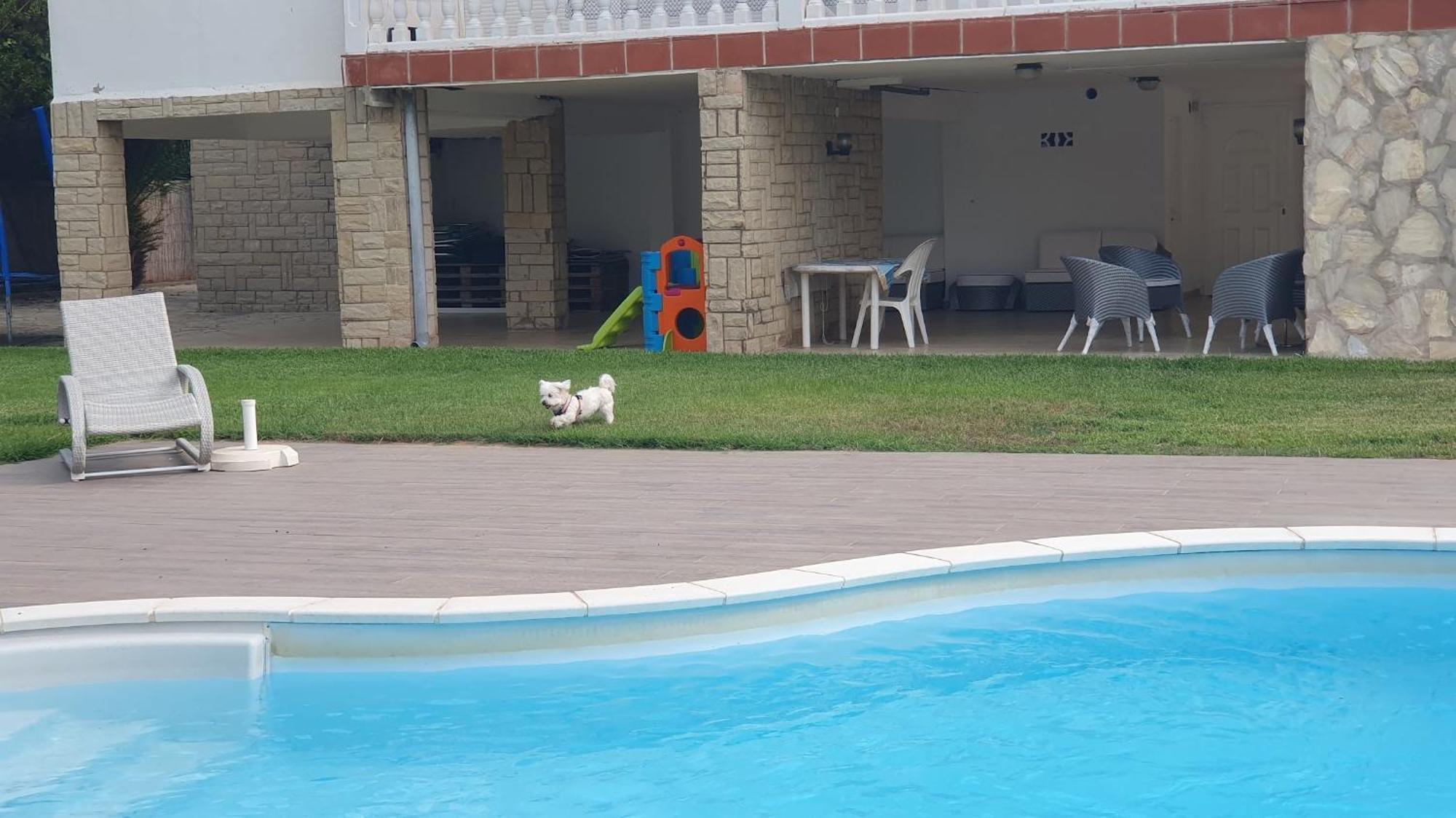 Privada La Pedrereta Villa *